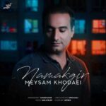 Meysam Khodaei Namakgir
